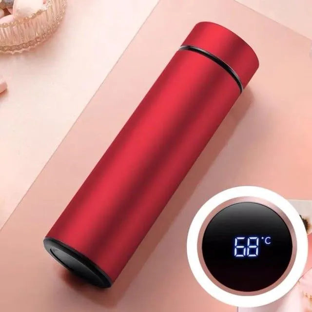Temperature Water Bottle, LED Temperature Display, Hot Cold